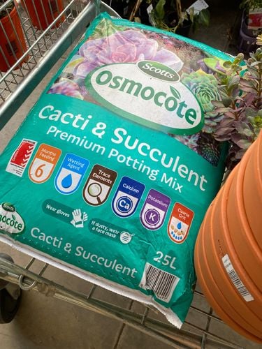 4B8B5802-1C14-421A-9A07-BA3F90492CB3.jpeg 4B8B5802-1C14-421A-9A07-BA3F90492CB3.jpeg