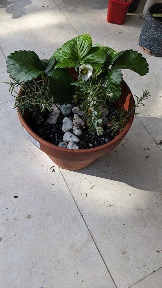 PXL_20240731_052024745.jpg PXL_20240731_052024745.jpg