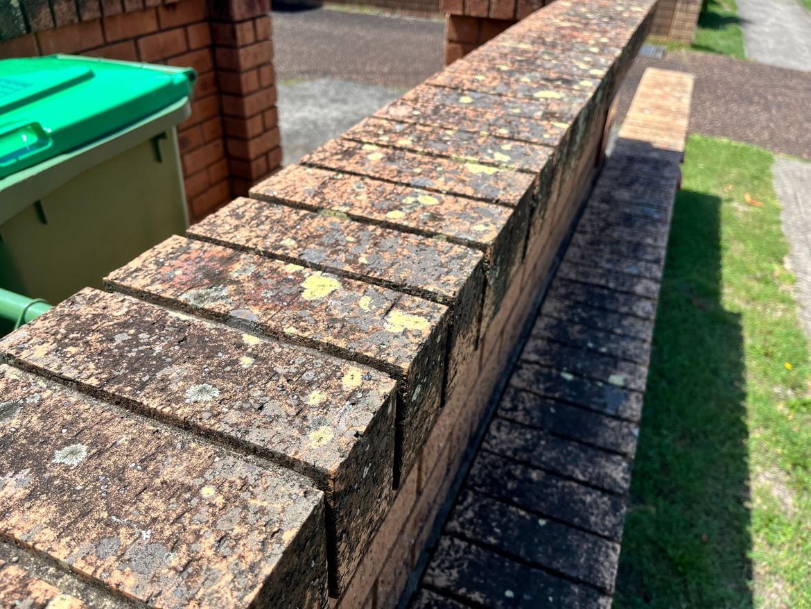 IMG_8380.jpg IMG_8380.jpg