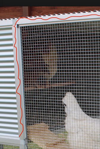 IMG_3827.jpeg IMG_3827.jpeg