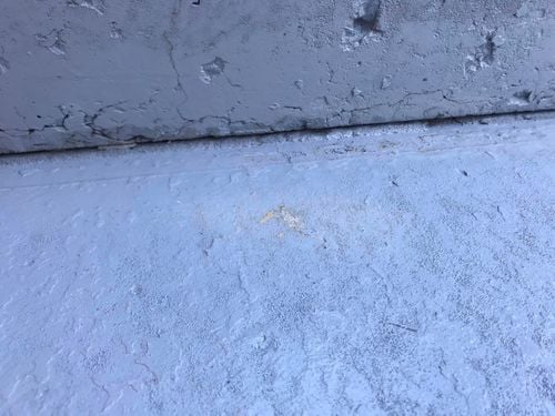 50 17-09-2023.jpg 50 17-09-2023.jpg