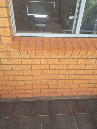 1000019102.jpg 1000019102.jpg