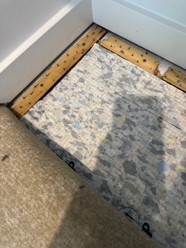 IMG_4724.jpeg IMG_4724.jpeg