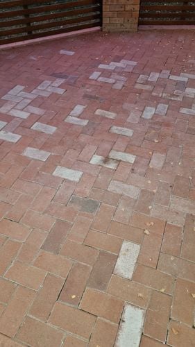 1000028139.jpg 1000028139.jpg