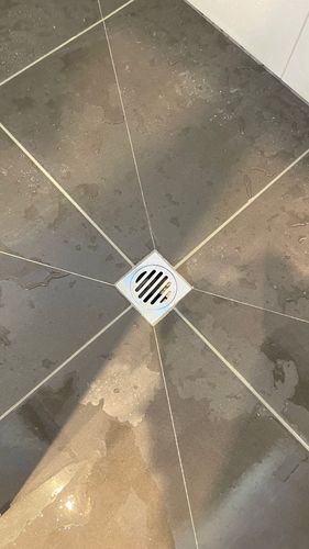 IMG_3968.jpeg IMG_3968.jpeg