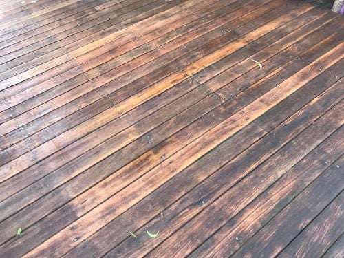 46 27-11-2023.jpg 46 27-11-2023.jpg