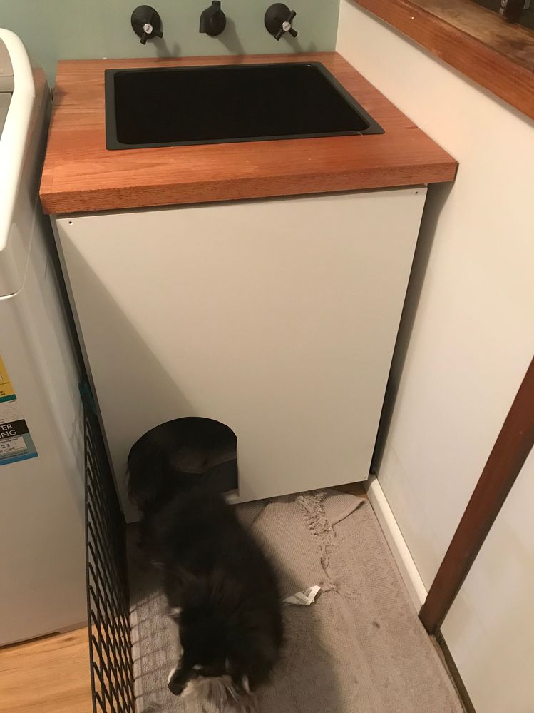 EC175BA1-7CC8-4A27-92C8-0A1A225BA3CD.jpeg EC175BA1-7CC8-4A27-92C8-0A1A225BA3CD.jpeg