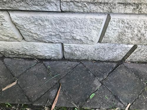 72A90E2D-6028-484C-97F0-099E0806E9A7.jpeg 72A90E2D-6028-484C-97F0-099E0806E9A7.jpeg