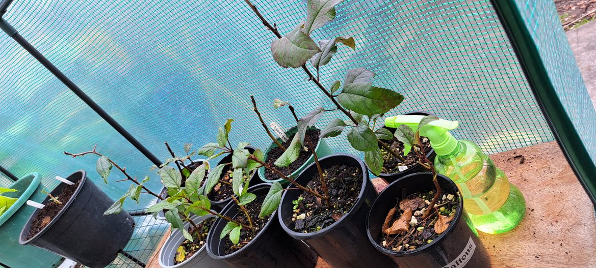 20250726_130204.jpg 20250726_130204.jpg