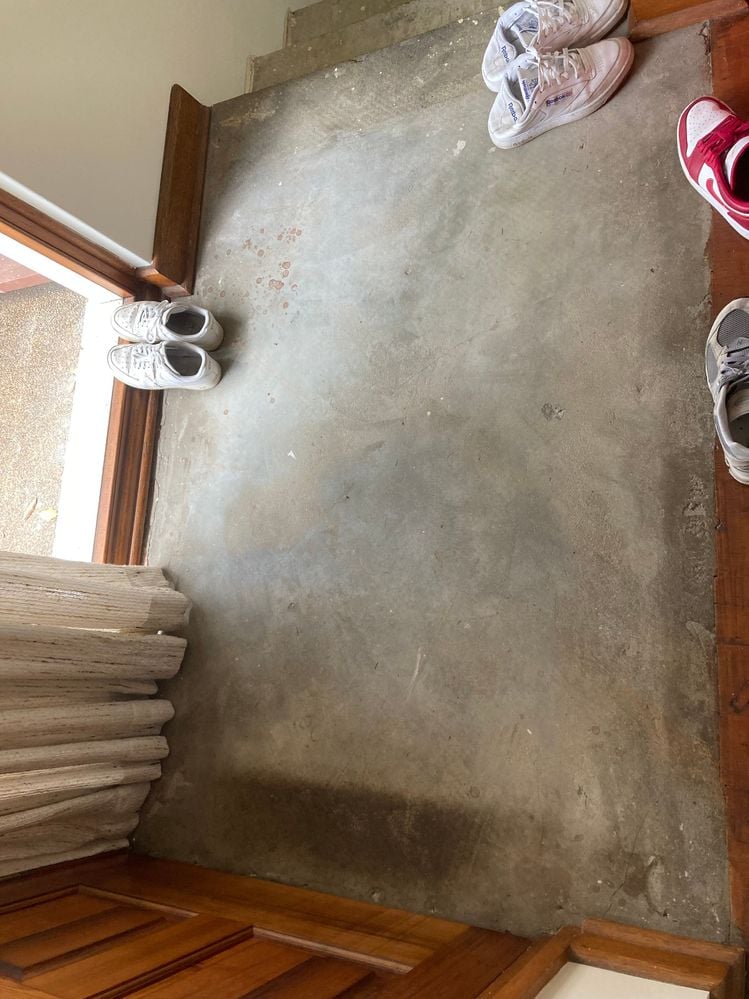 IMG_2809.jpeg IMG_2809.jpeg