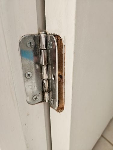 1000030766.jpg 1000030766.jpg