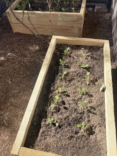 IMG_3802.jpeg IMG_3802.jpeg