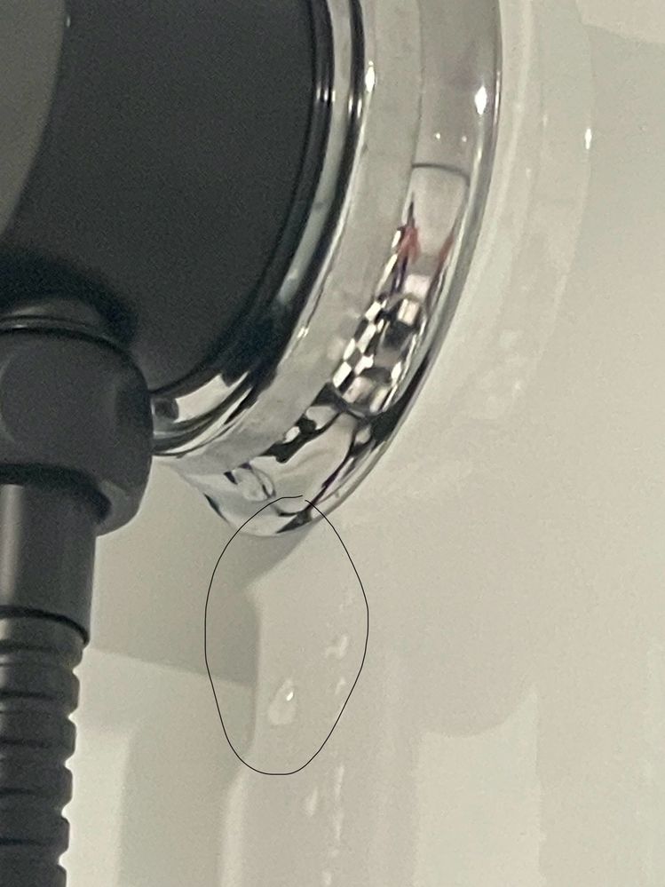 IMG_5602.jpeg IMG_5602.jpeg