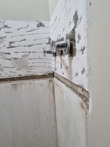 laundry wall.jpg laundry wall.jpg