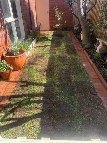 IMG_6323.jpeg IMG_6323.jpeg