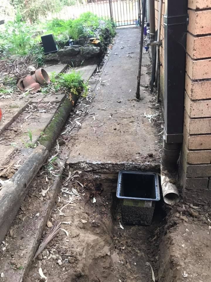 29 23-05-2021.jpg 29 23-05-2021.jpg