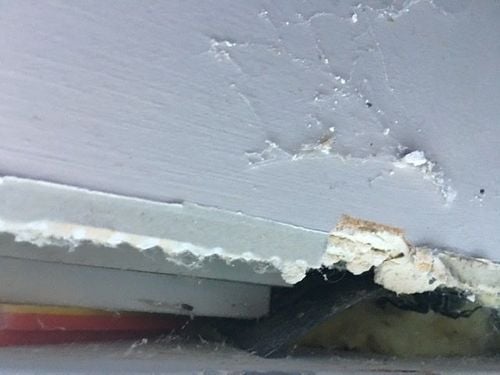 B72A650D-AE7A-4217-B6AA-7FE9E90BF1DF.jpeg B72A650D-AE7A-4217-B6AA-7FE9E90BF1DF.jpeg