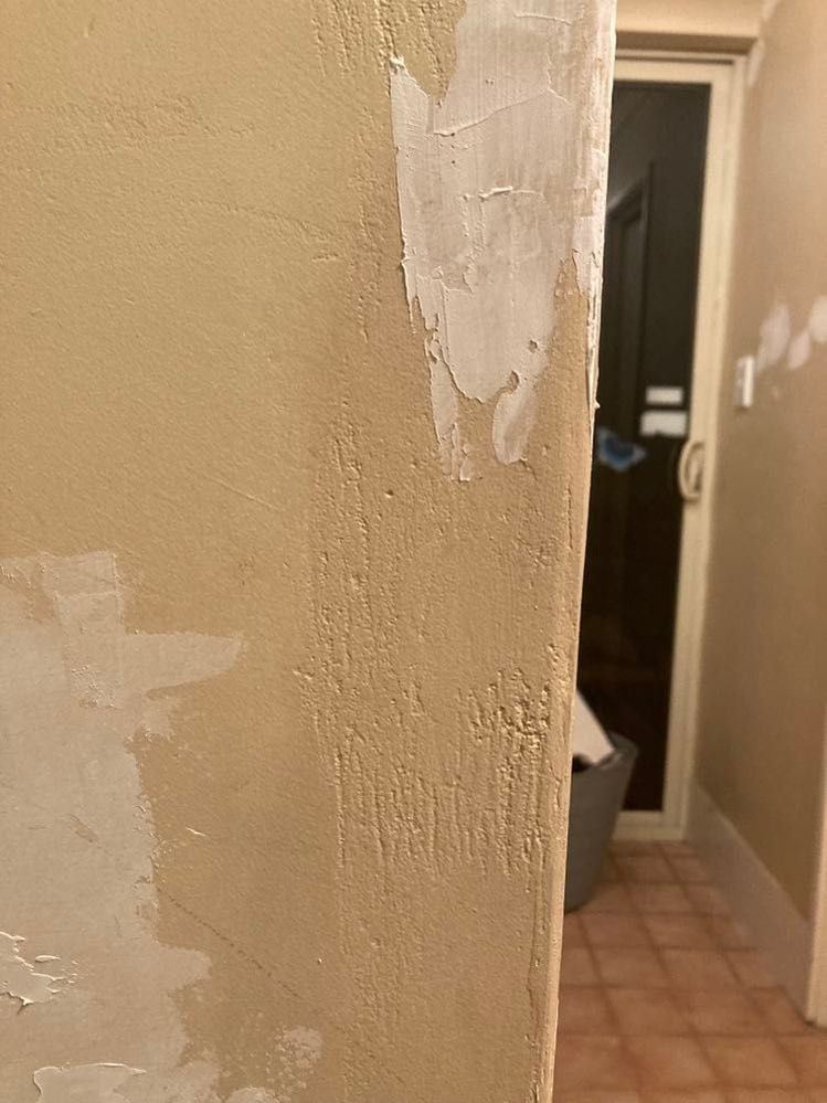 436546557_886809383464522_3702500560148609640_n.jpg 436546557_886809383464522_3702500560148609640_n.jpg