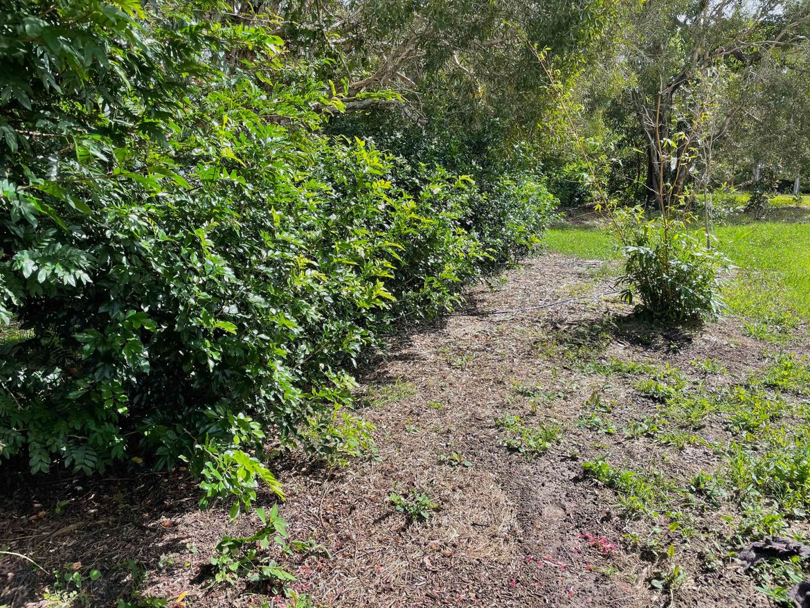 IMG_0300.jpg IMG_0300.jpg