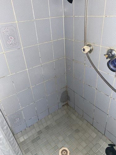 IMG_2429.jpeg IMG_2429.jpeg