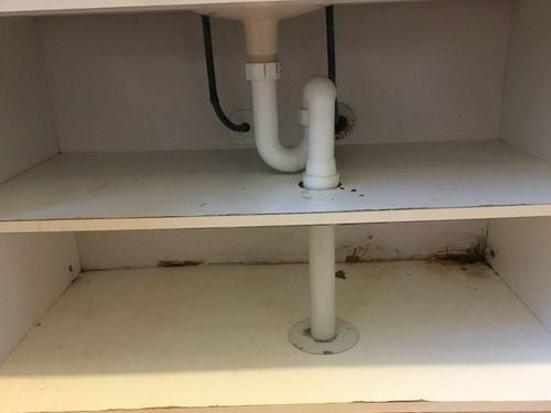 3E3ACF97-251F-45B1-A880-497473A05CF2.jpeg 3E3ACF97-251F-45B1-A880-497473A05CF2.jpeg