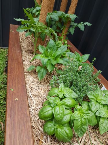 20201123_183824.jpg 20201123_183824.jpg