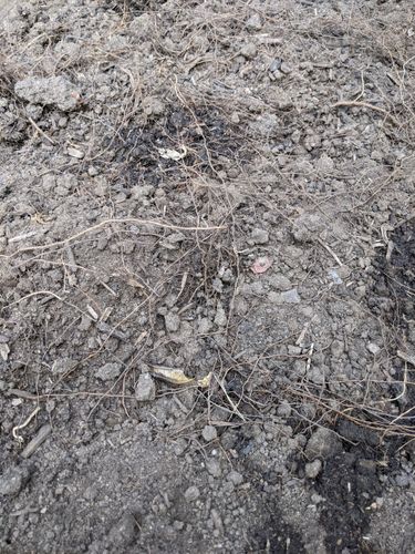 PXL_20250309_231138418.jpg PXL_20250309_231138418.jpg