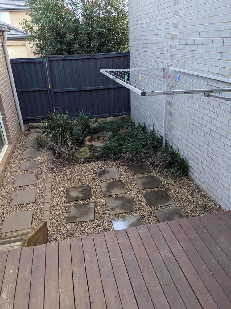 PXL_20210703_054816644.jpg PXL_20210703_054816644.jpg