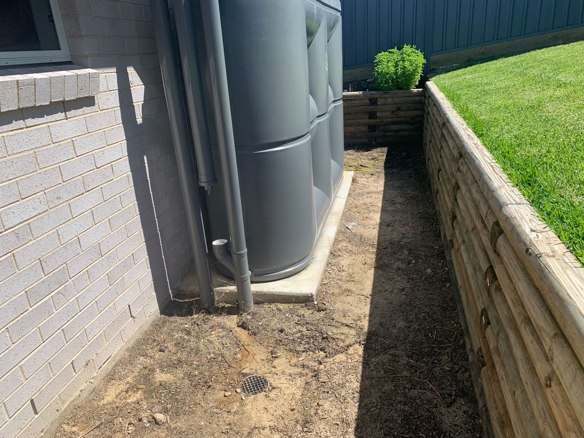 IMG_1541.JPG IMG_1541.JPG