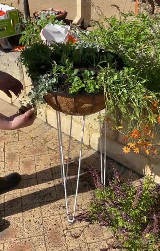 33A73480-0BBE-499A-AE23-FF4D5E465D3E.jpeg 33A73480-0BBE-499A-AE23-FF4D5E465D3E.jpeg