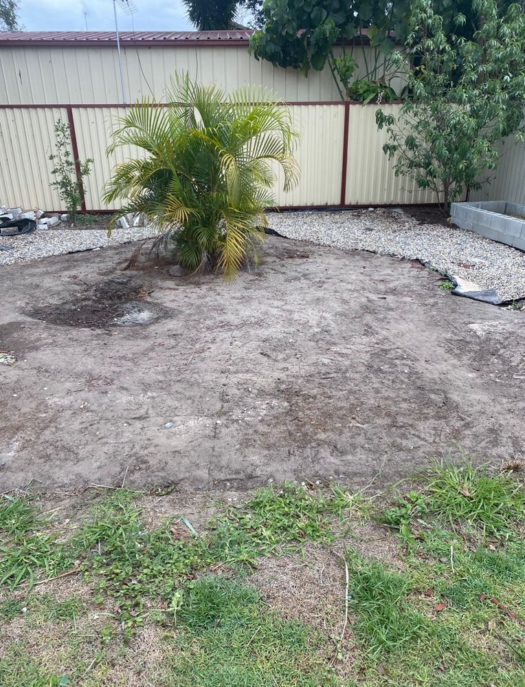 69B4C306-F64F-40D0-93FD-4ED8840A75D9.jpeg 69B4C306-F64F-40D0-93FD-4ED8840A75D9.jpeg