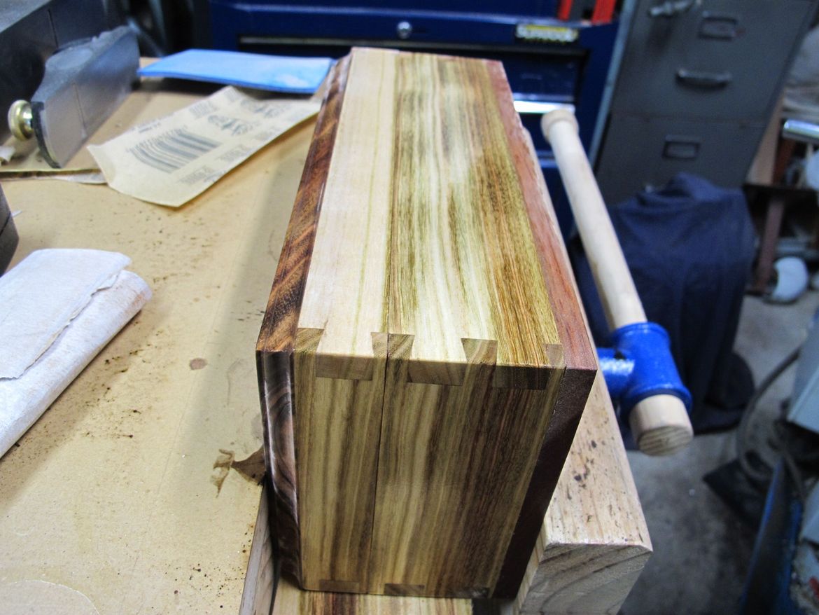 IMG_1478.JPG IMG_1478.JPG