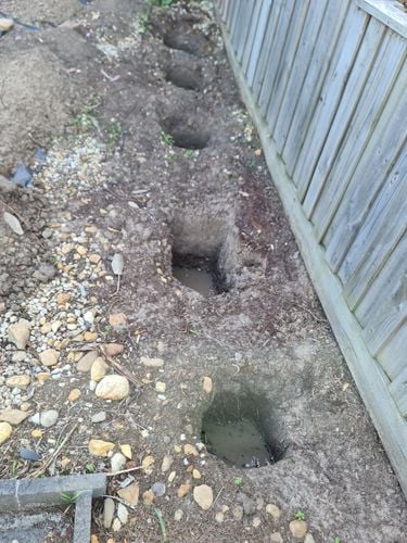 20231111_172148.jpg 20231111_172148.jpg