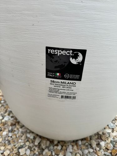 IMG_9678.jpeg IMG_9678.jpeg