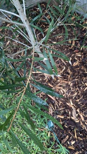 1000012952.jpg 1000012952.jpg