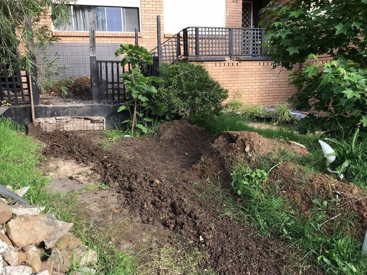 47 22-11-2021.jpg 47 22-11-2021.jpg