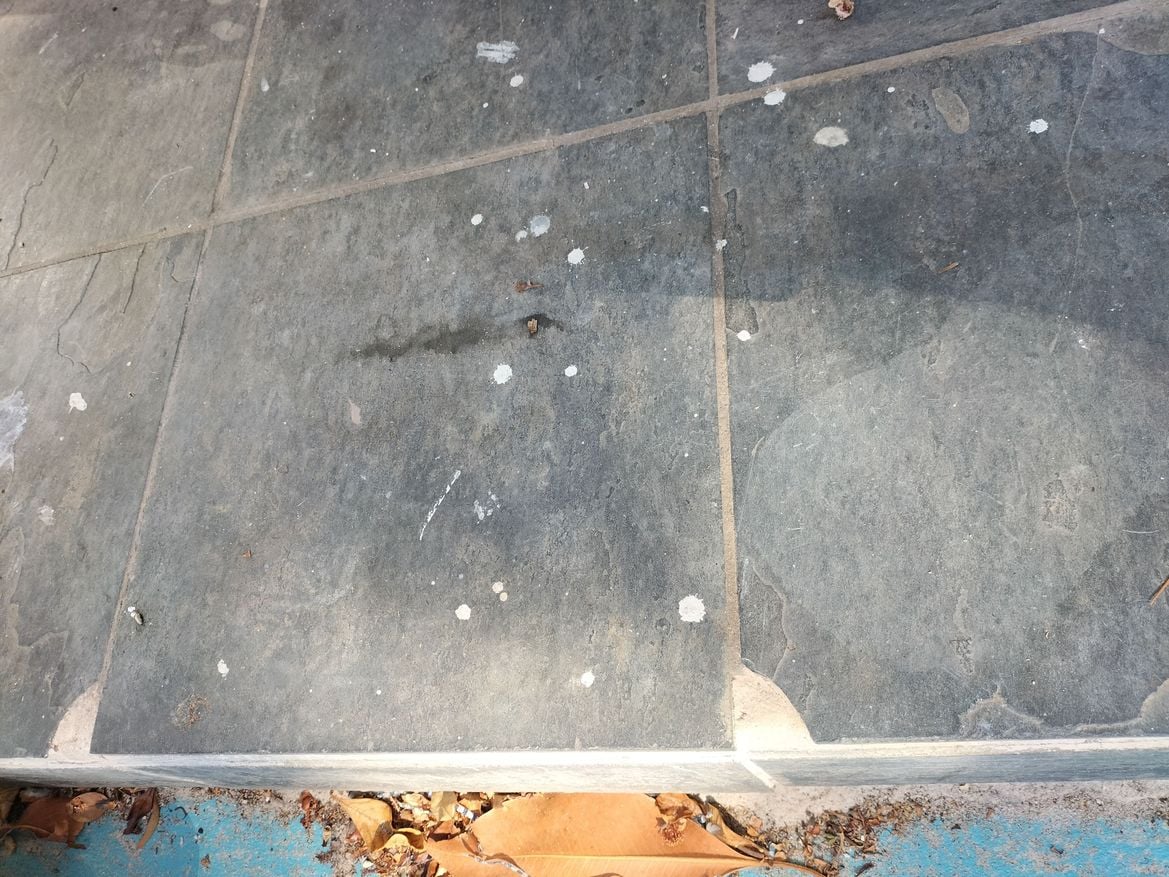 IMG20240318104708.jpg IMG20240318104708.jpg