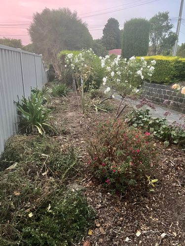 D4DD1A3B-0E62-4FC6-B54E-E94B1C5B864C.jpeg D4DD1A3B-0E62-4FC6-B54E-E94B1C5B864C.jpeg