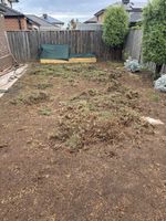 IMG_3611.jpeg IMG_3611.jpeg