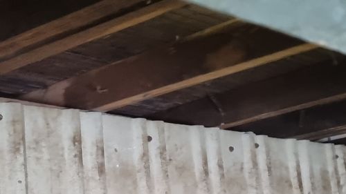 20230604_110834.jpg 20230604_110834.jpg