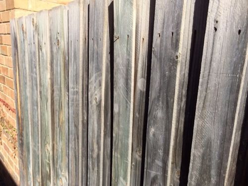 IMG_1157.JPG IMG_1157.JPG