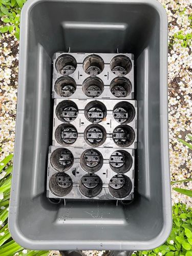 06B8B04C-F194-43B8-8FEE-402B9479D79E.jpeg 06B8B04C-F194-43B8-8FEE-402B9479D79E.jpeg