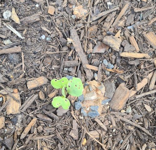 Screenshot_20221205_100527_WhatsApp.jpg Screenshot_20221205_100527_WhatsApp.jpg