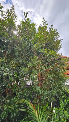 1000023888.jpg 1000023888.jpg