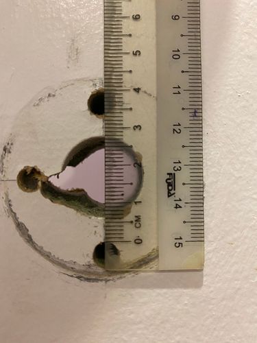 4F75ADB2-D228-4E9F-AD2E-50B317D09AC1.jpeg 4F75ADB2-D228-4E9F-AD2E-50B317D09AC1.jpeg