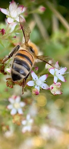 D8920DCC-9402-40EF-96FB-4862FAE6D1A4.jpeg D8920DCC-9402-40EF-96FB-4862FAE6D1A4.jpeg