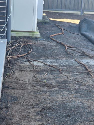 1000012855.jpg 1000012855.jpg