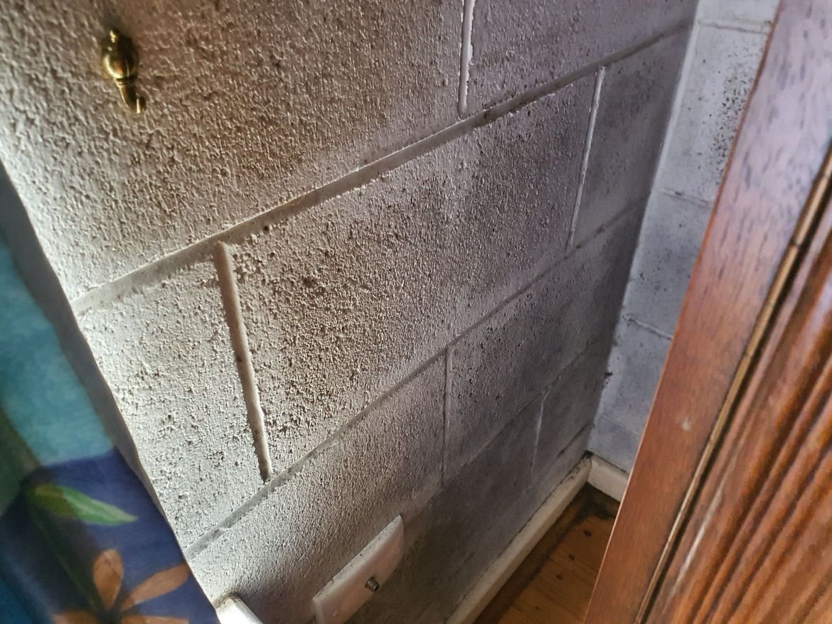 20241108_102532.jpg 20241108_102532.jpg