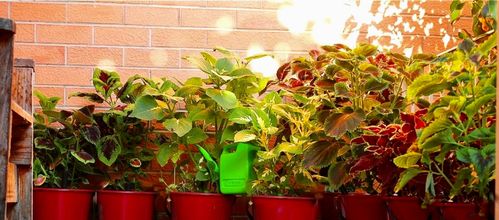 52678D1C-5E26-4FEC-9D3B-DE70C00A850D.jpeg 52678D1C-5E26-4FEC-9D3B-DE70C00A850D.jpeg