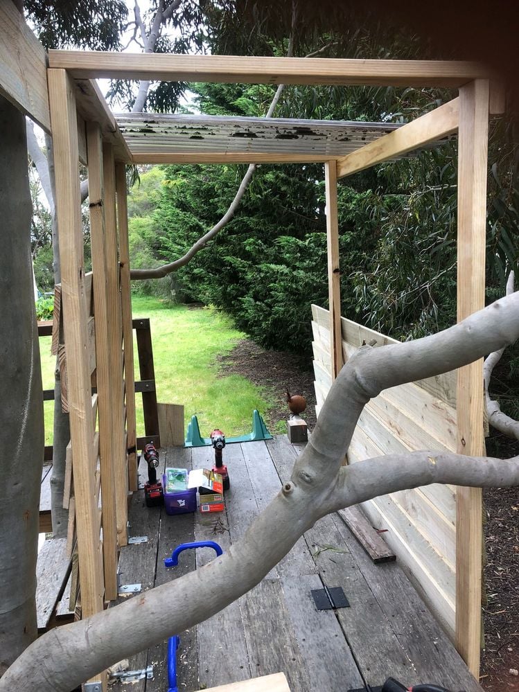 IMG_1350.JPEG IMG_1350.JPEG